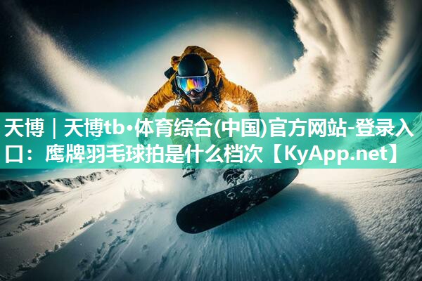 鹰牌羽毛球拍是什么档次